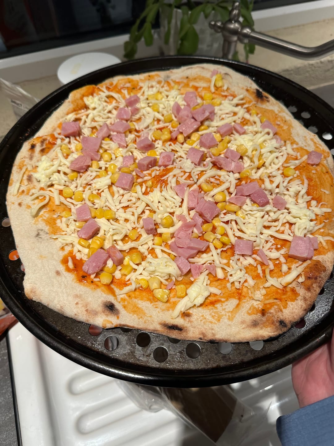 Customer photo review of Sourdough Pizza Bases (boxes of 25 bases)