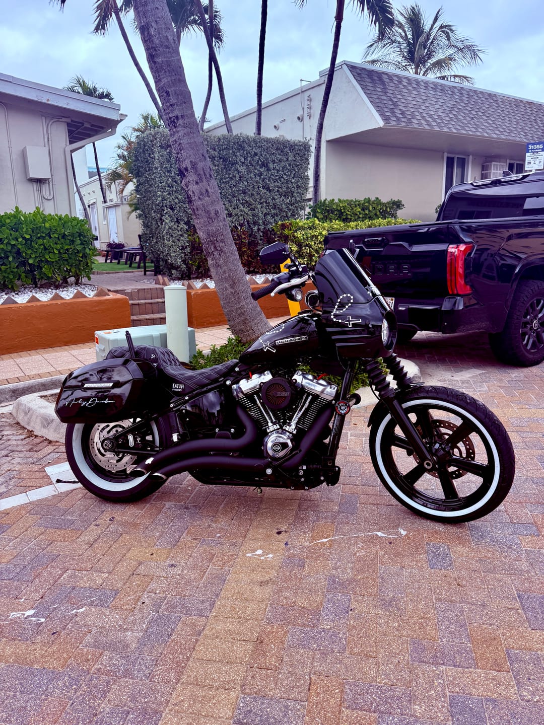 Customer photo review of 32L - Darkin Large Quick Mount Painted Hard Saddlebags for Harley Softail Street Bob FXBB