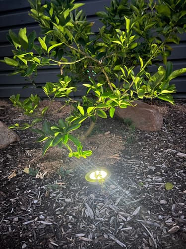 Customer photo review of GardenBrite™ Solar Ground Light Pack