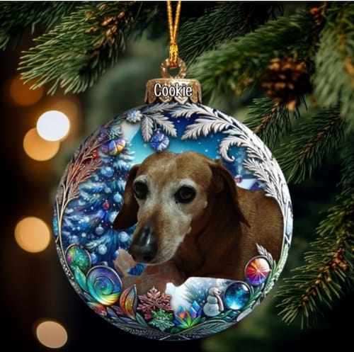 Customer photo review of Personalized Cat & Dog Christmas Ornaments With Photo Pets Make Our Lives Whole Home Holiday Decorations For Pet Lovers