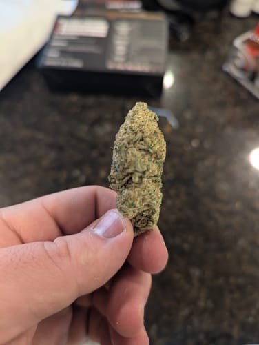 Customer photo review of Ghost Train Haze THCA Flower