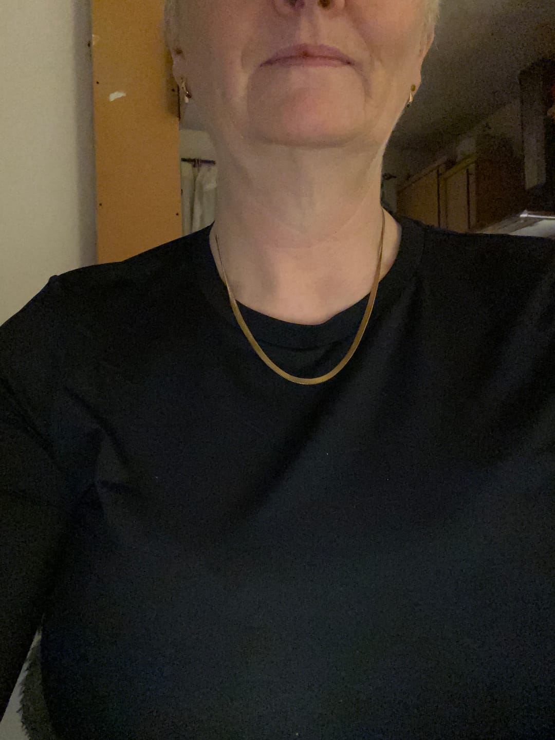Customer photo review of Essentials Snake Chain Necklace