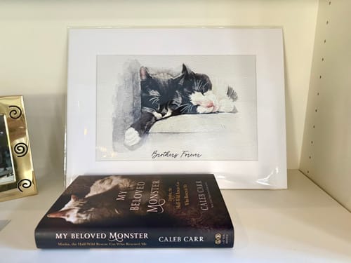 Customer photo review of 8x12 Matting Package Print