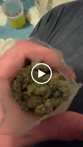 Customer video review of Jack Candy THCA Flower