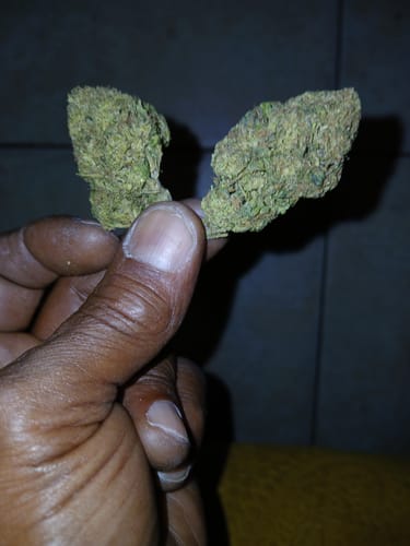 Customer photo review of Candy Gas THCA Flower