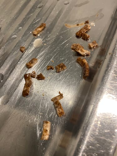 Customer photo review of Peanut Butter & Chocolate Frozen Treat