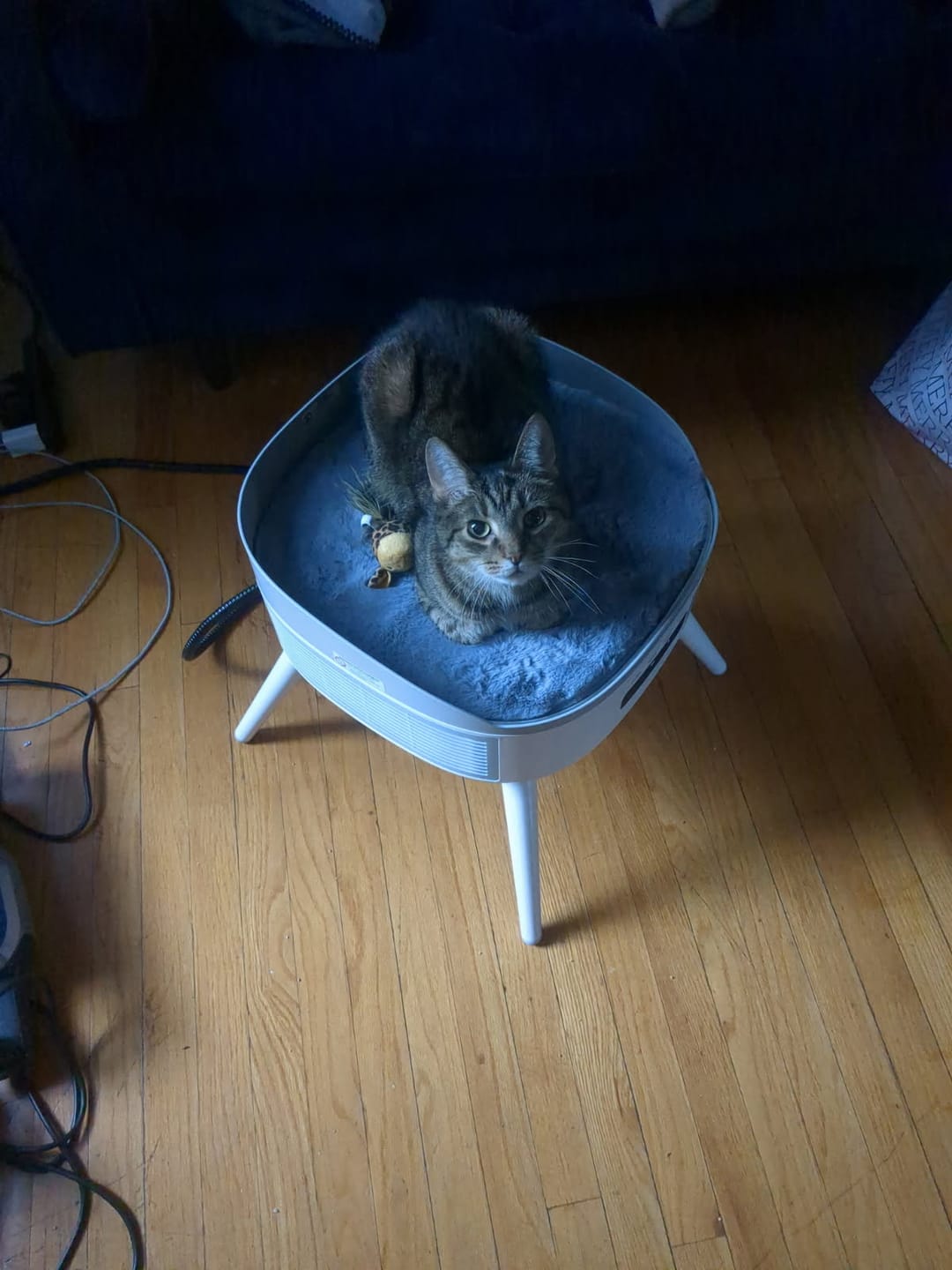Customer photo review of Pet Safe 1500 Watt Space Heater