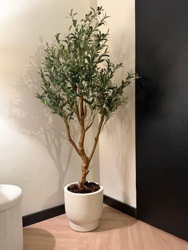 Customer photo review of Bloempot Elho Amber grail 30cm linnen wit