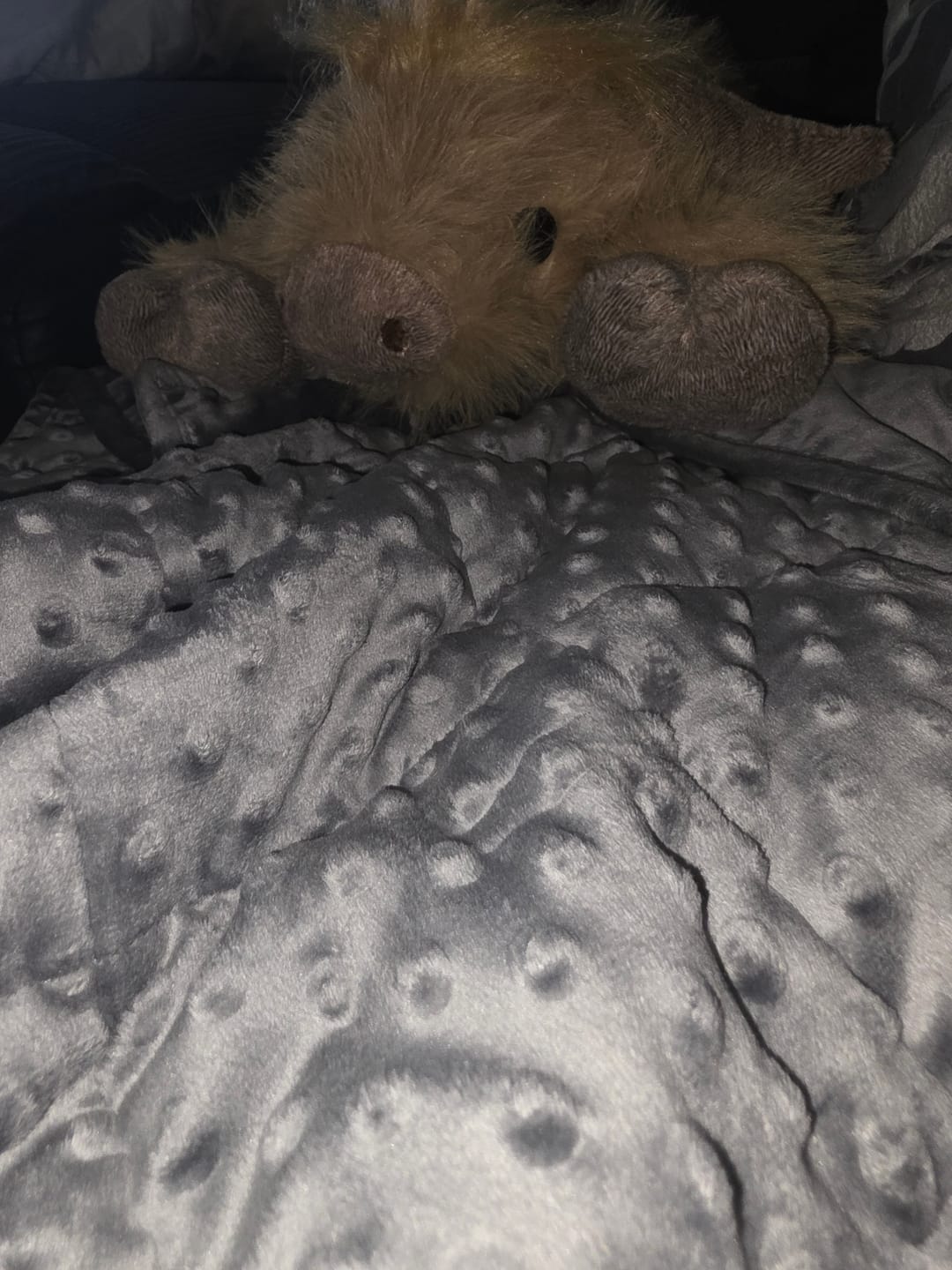 Customer photo review of Weighted Throw