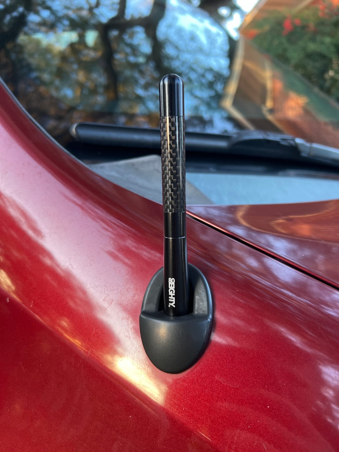 Customer photo review of 80Eighty® Carbon Antenna