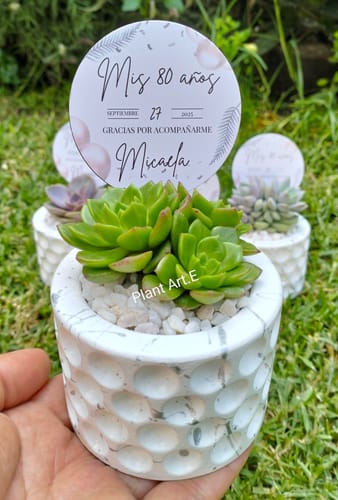 Customer photo review of Molde de Silicón para Mini Tarro Macetero con Cuencos