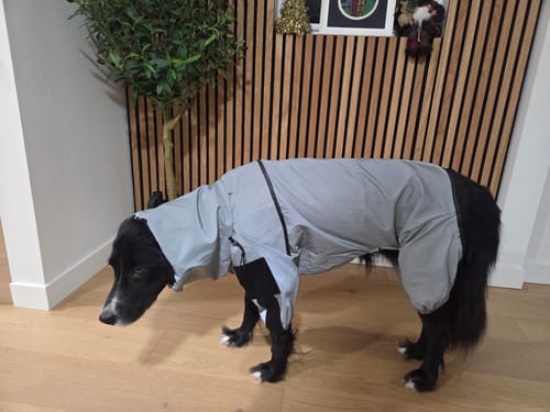 Customer photo review of GlowGuard™ Reflective Waterproof Dog Coat for All Seasons
