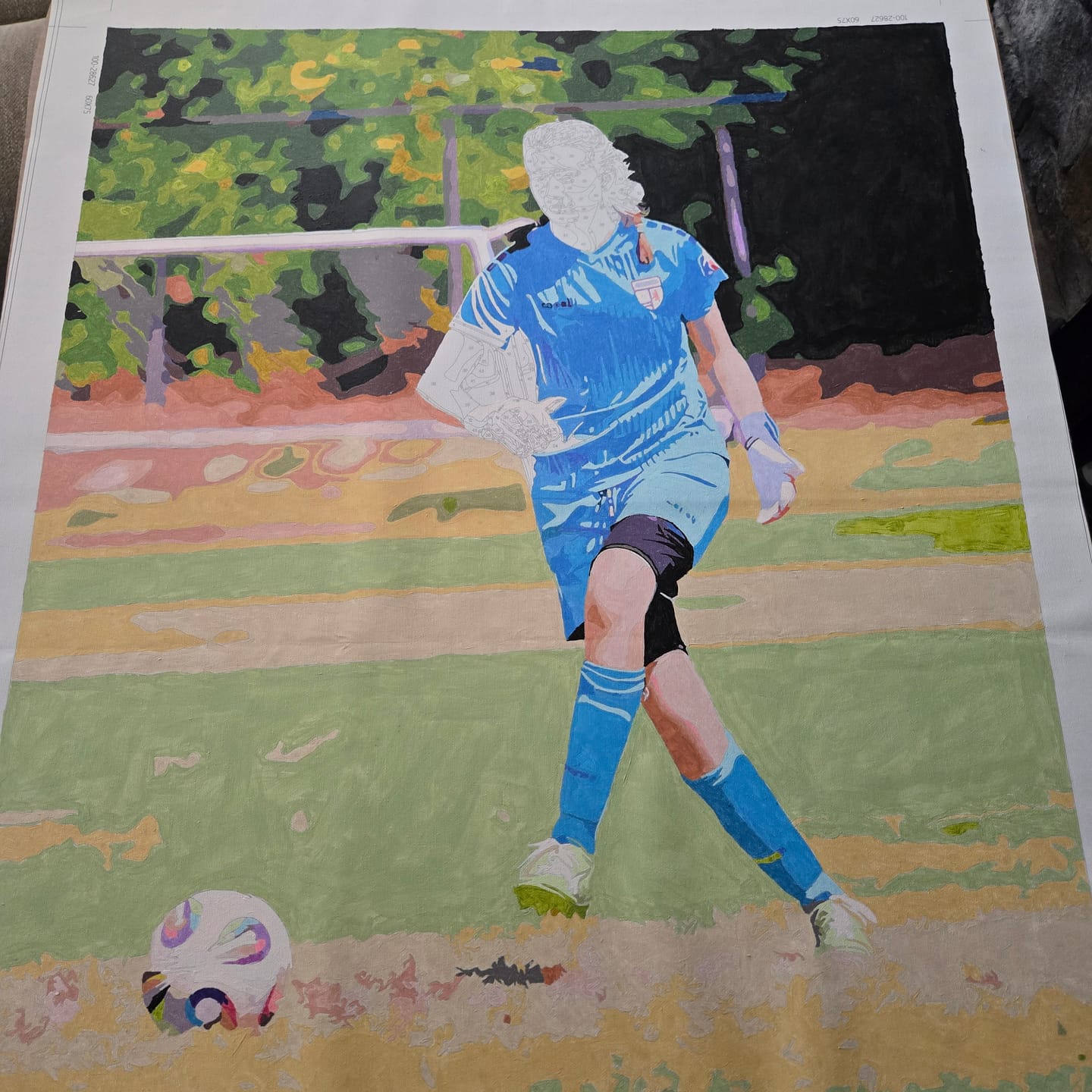 Customer photo review of Custom Paint by Number