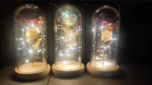 Customer photo review of EverGlow Rose - Lamp