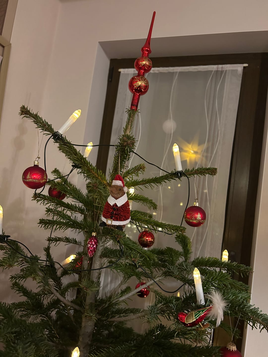 Customer photo review of Cute Brush Kiwi Bird Santa Claus Xmas Ornament