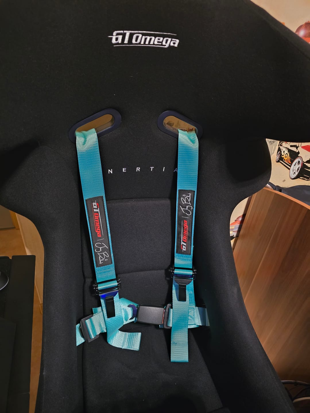 Customer photo review of 4-Point Racing Harness - Jimmy Broadbent Edition