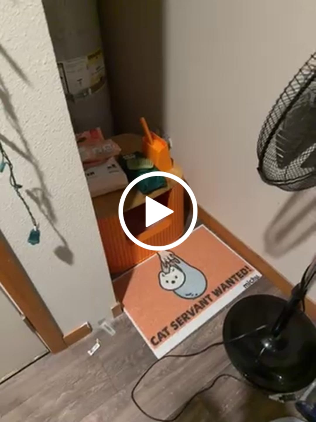 Customer video review of Michu Natural Clumping Tofu Cat Litter 5.5lb/88oz