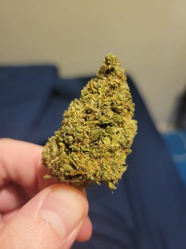 Customer photo review of Cheap THCA Flower Ounce