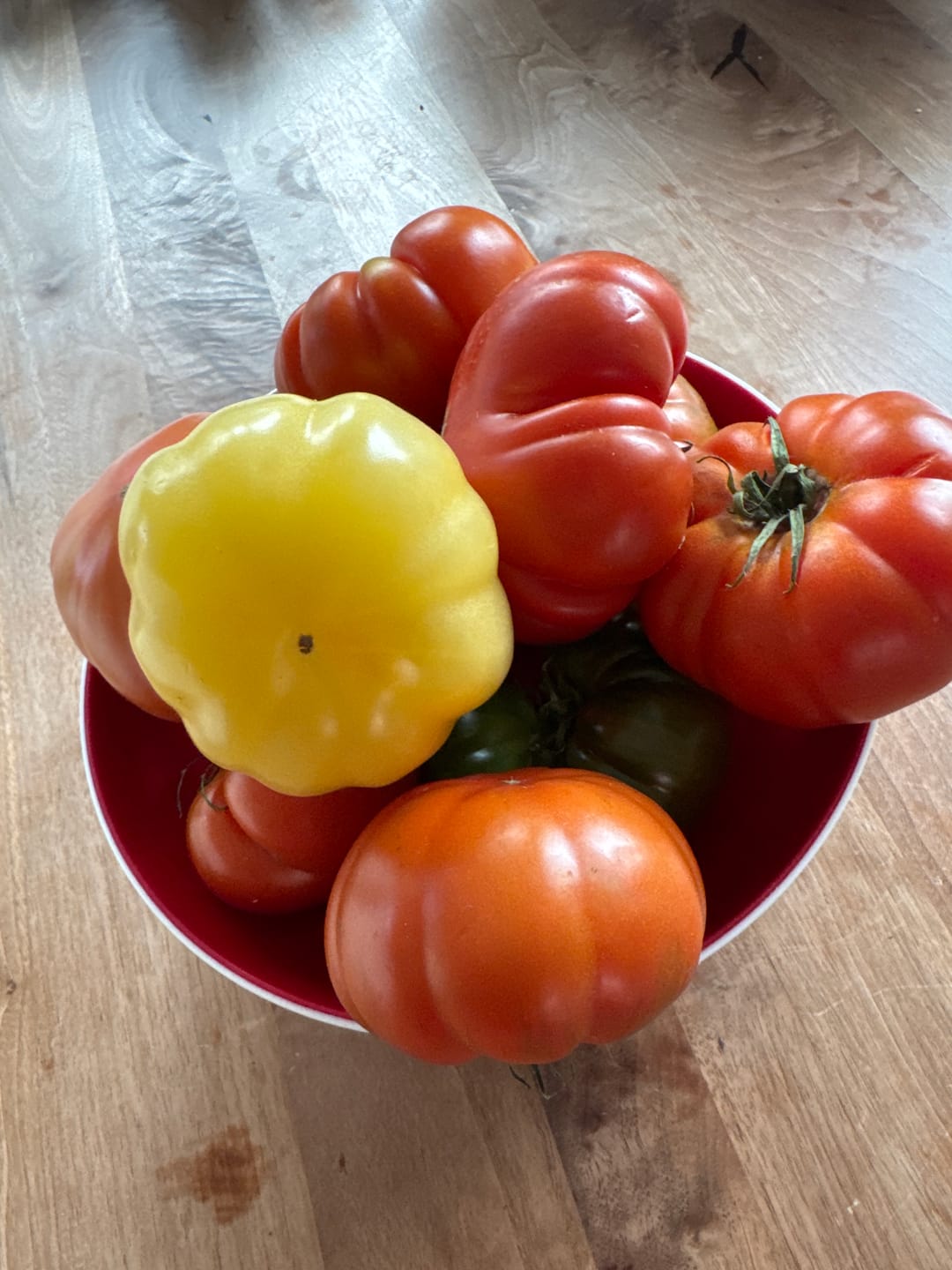 Customer photo review of Tomaten Mix von Julian Sonderaktion % 3kg Box