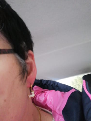 Customer photo review of Tiny Pave Dachshund Huggie Hoop Ohrringe 14K Vergoldet