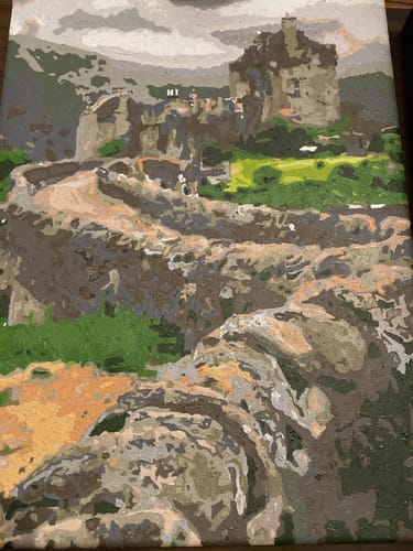 Customer photo review of Custom Landscape Paint By Numbers