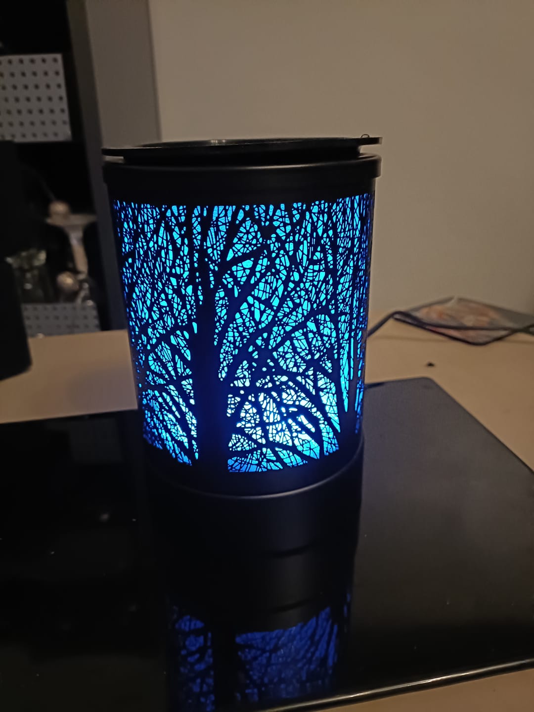 Customer photo review of His & Her Collection