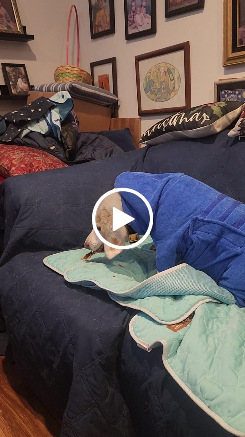 Customer video review of Pumpkin Chicken