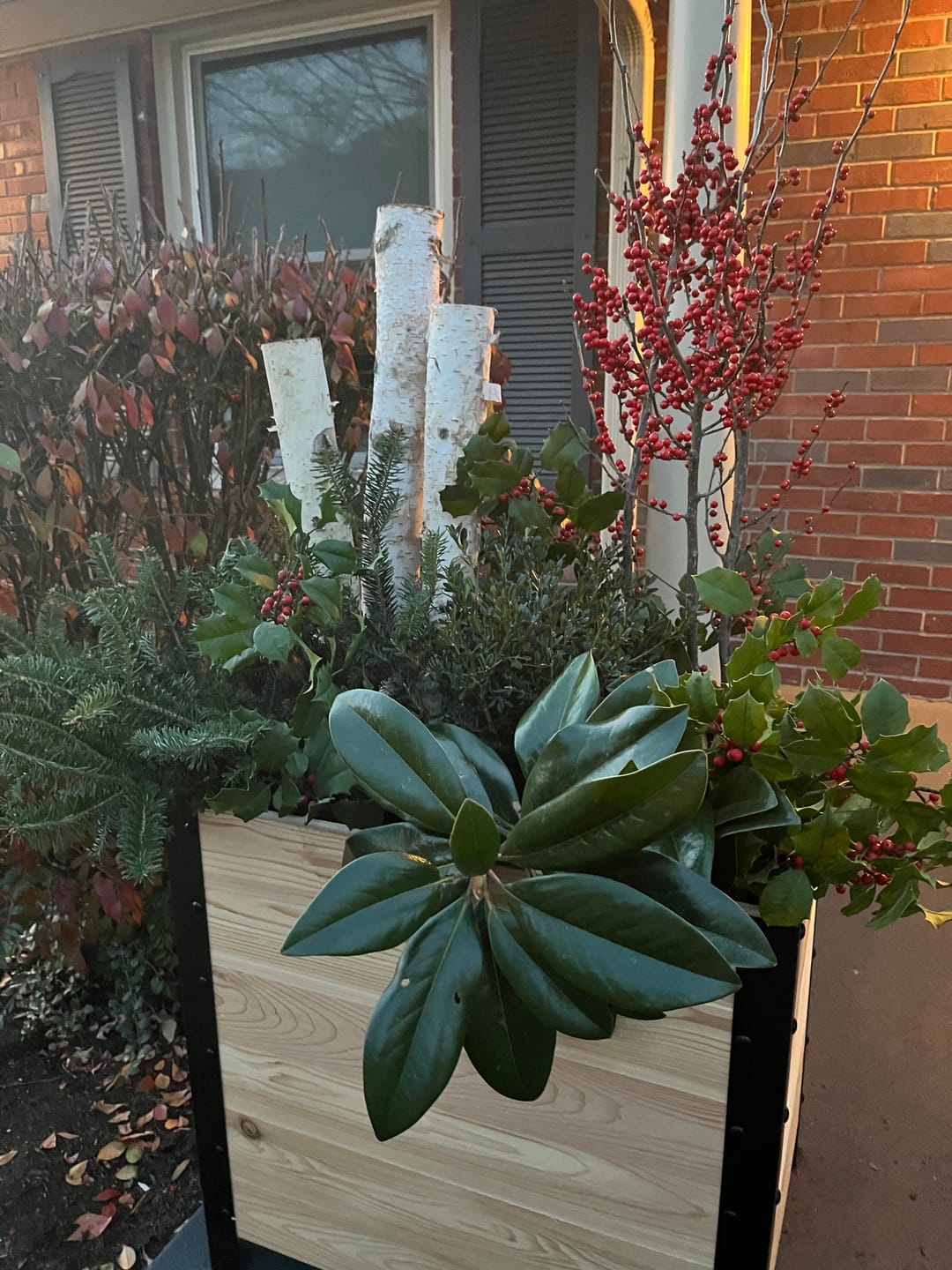 Customer photo review of 18" x 24" Planter Box - 24" TALL