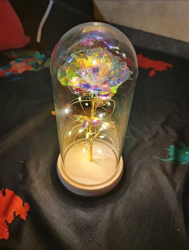 Customer photo review of EverGlow Rose - Lamp