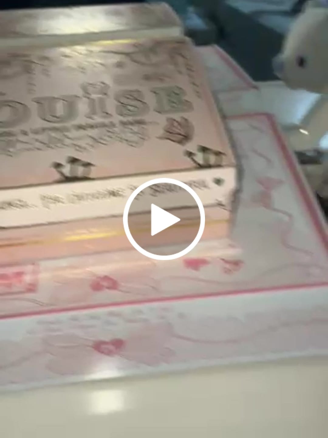 Customer video review of P. Louise A Brand New Chapter Palette - Chapter Two