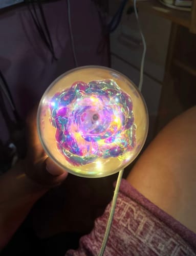 Customer photo review of EverGlow Rose - Lamp