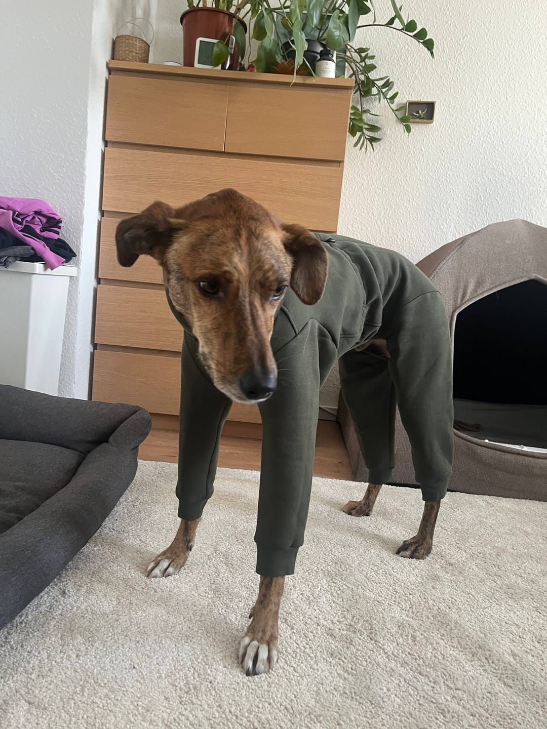 Customer photo review of Nuuk "Mountain Green"
