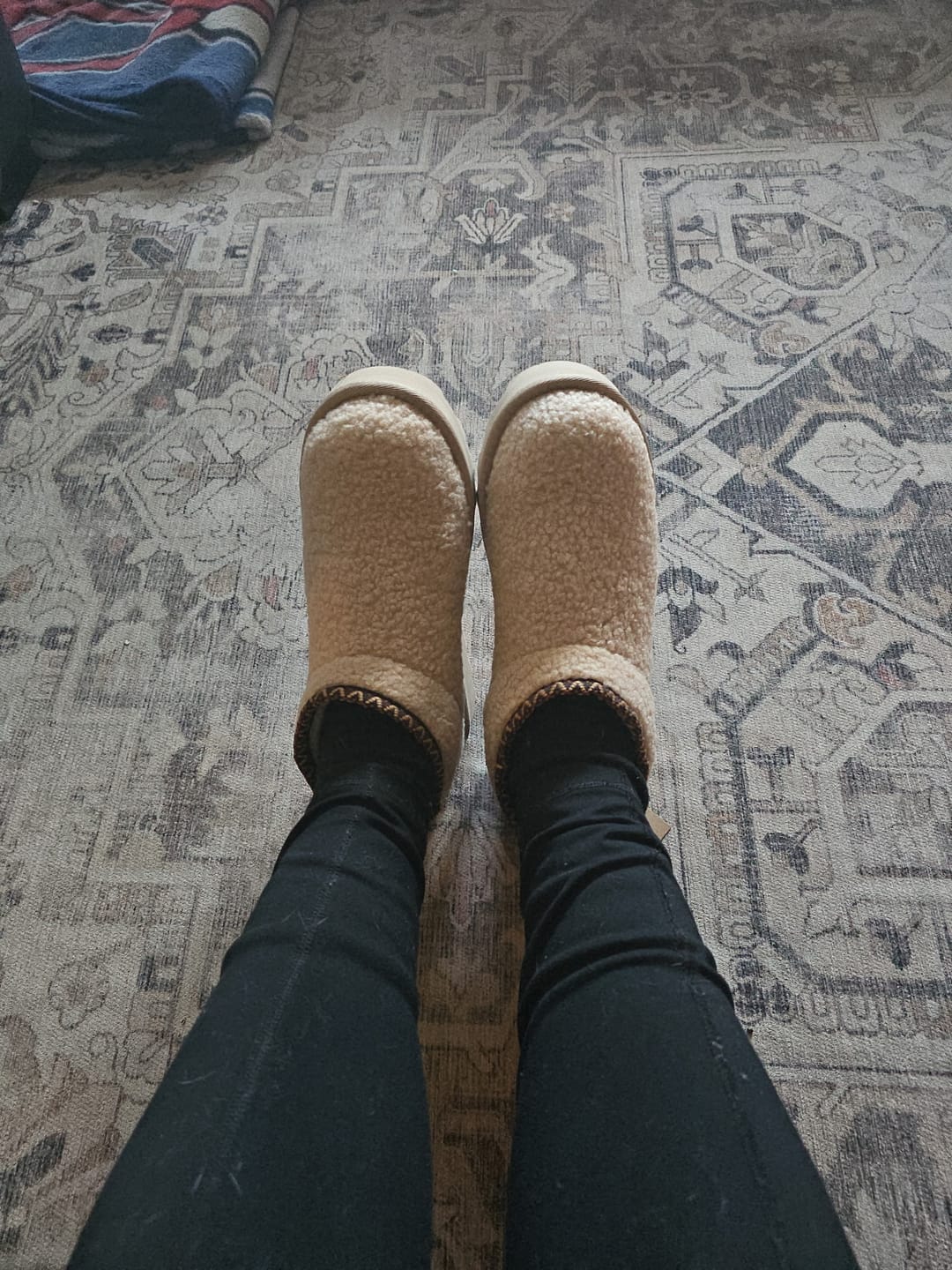 Customer photo review of SNUGGLE DAPHNE DECO OAT