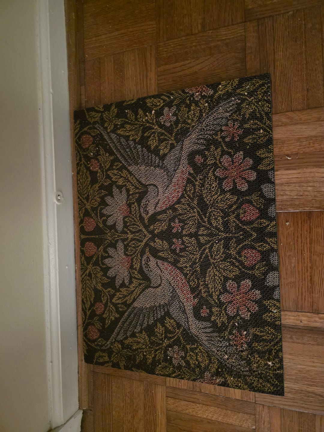 Customer photo review of Strawberry Vine - Luxury Cat Scratching Board