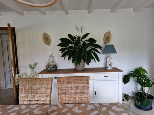 Customer photo review of Assia | Applique