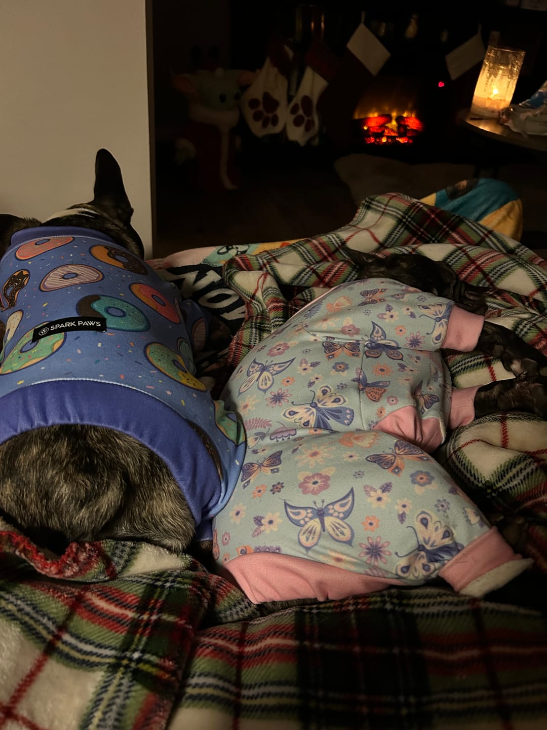 Customer photo review of Dog Pajama - Donuts