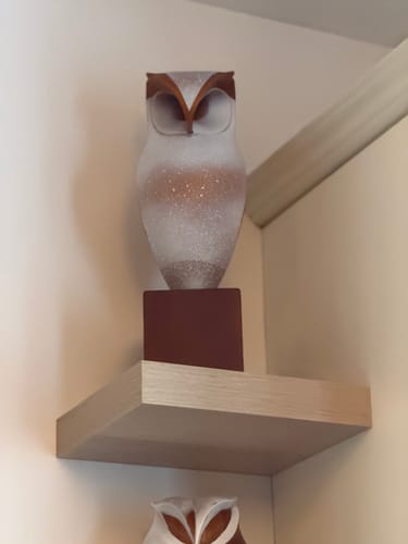 Customer photo review of Owl Wood Sculpture #WA049