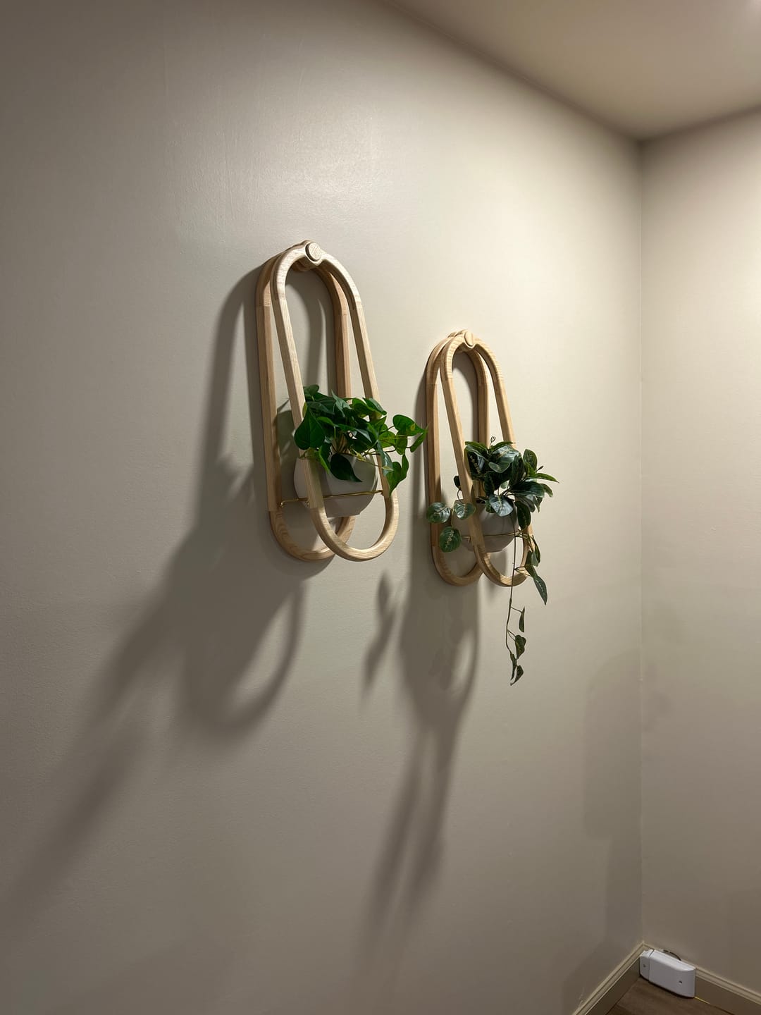 Customer photo review of Frame Wall Planter + Pot Duo