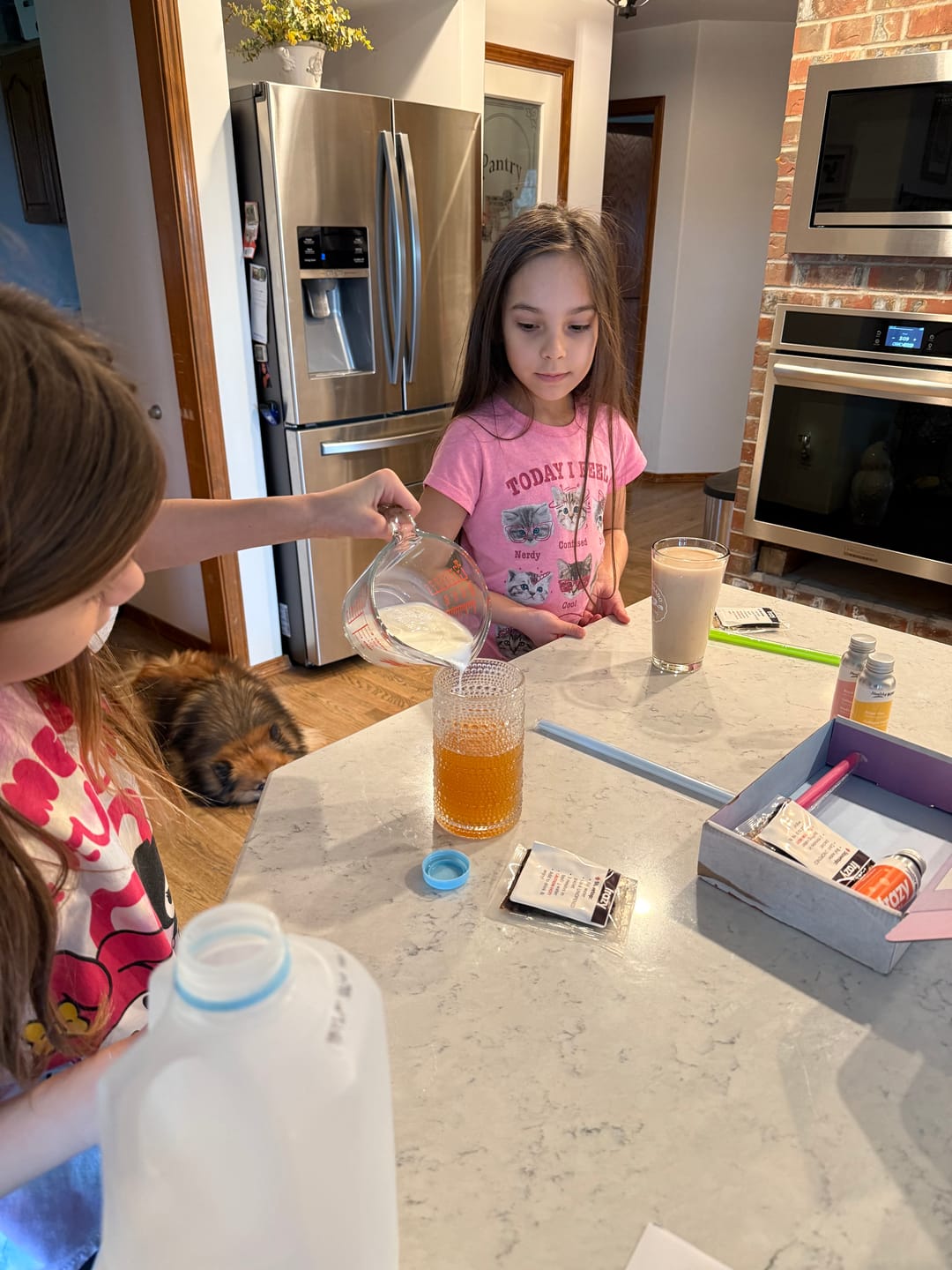 Customer photo review of Healthy Boba Sample Pack