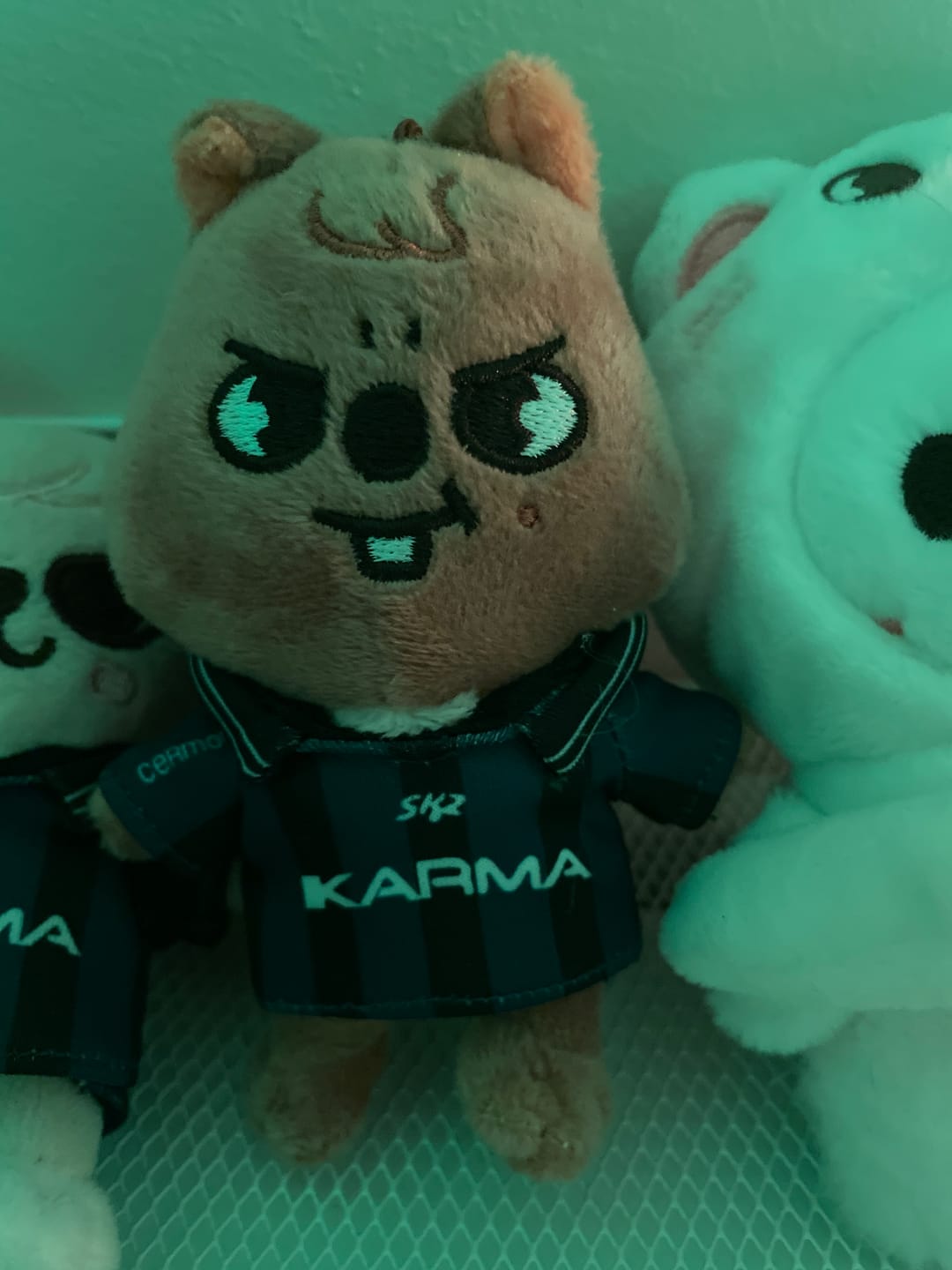Customer photo review of SKZ KARMA Plush Keyring Ver.