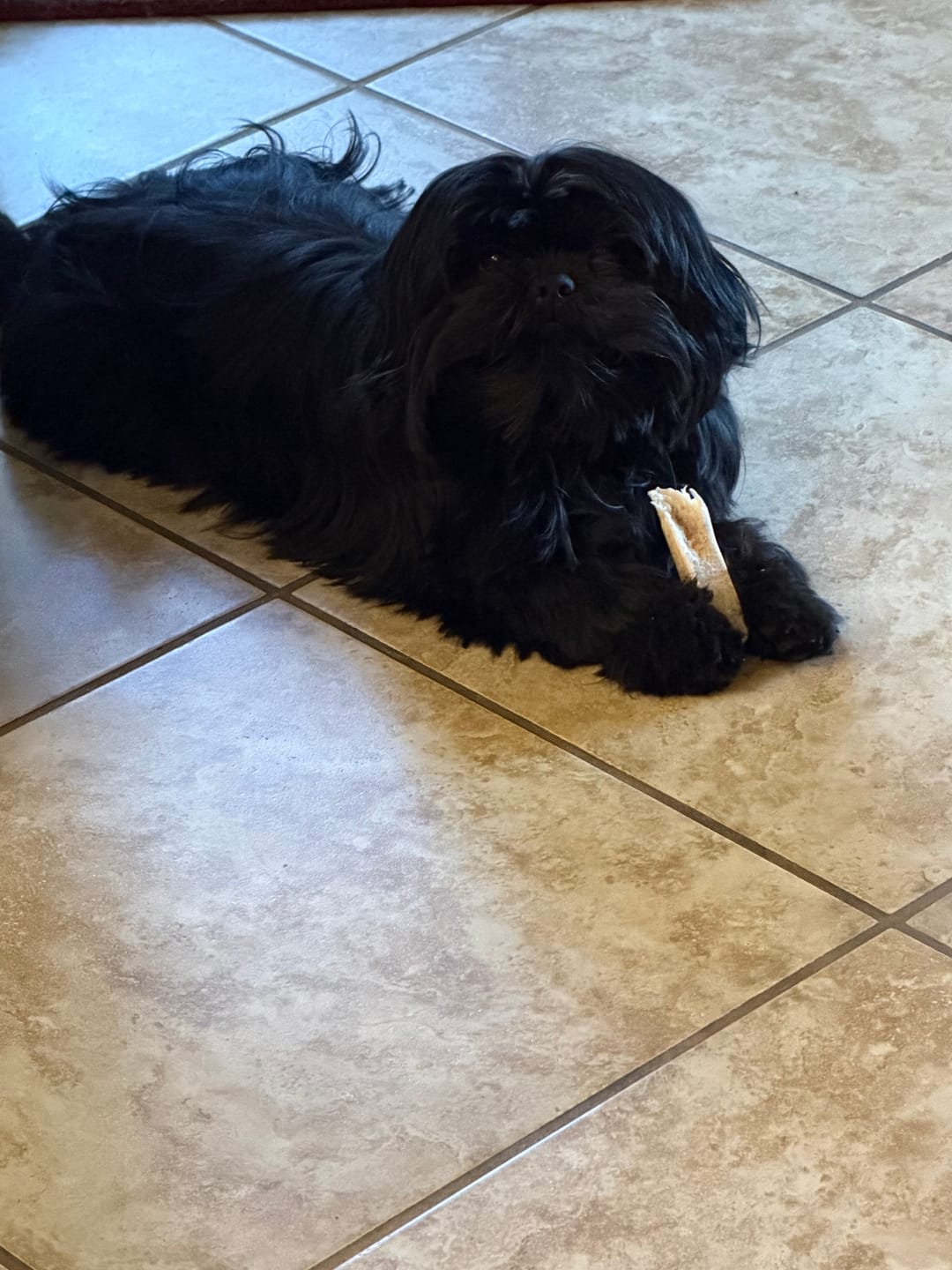 Customer photo review of Small Elk Chew
