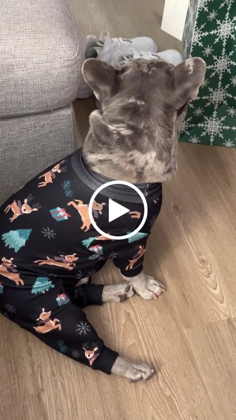 Customer video review of Dog Christmas Pajama - Reindeers