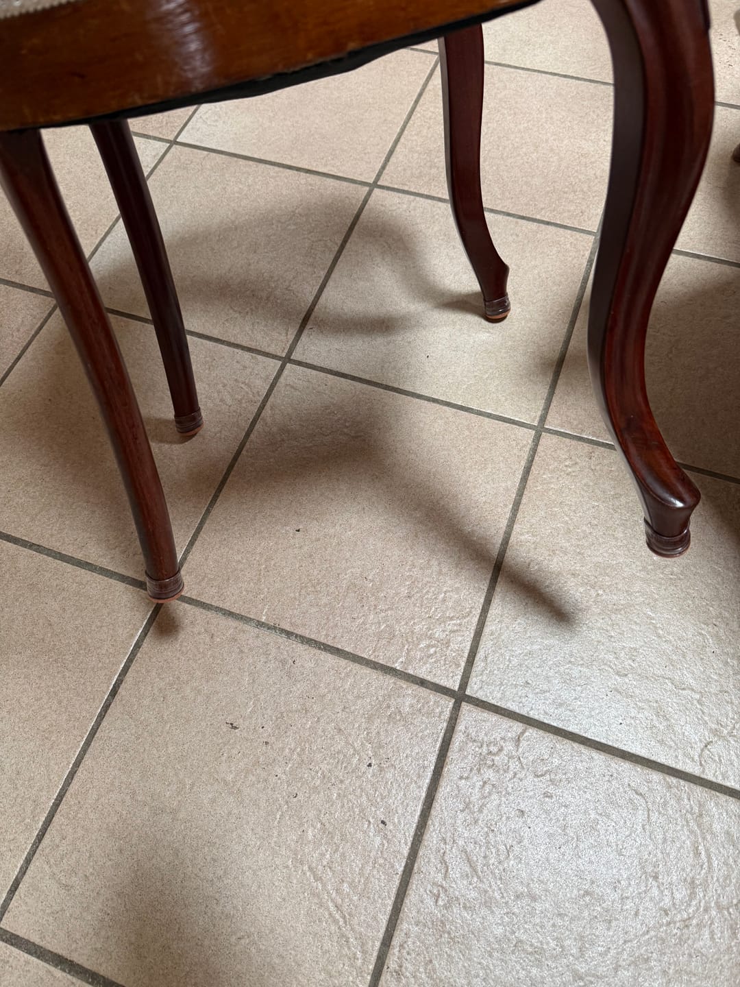 Customer photo review of Groovy Flex Silicone Felt Chair Leg Protectors | Stretchy Edition