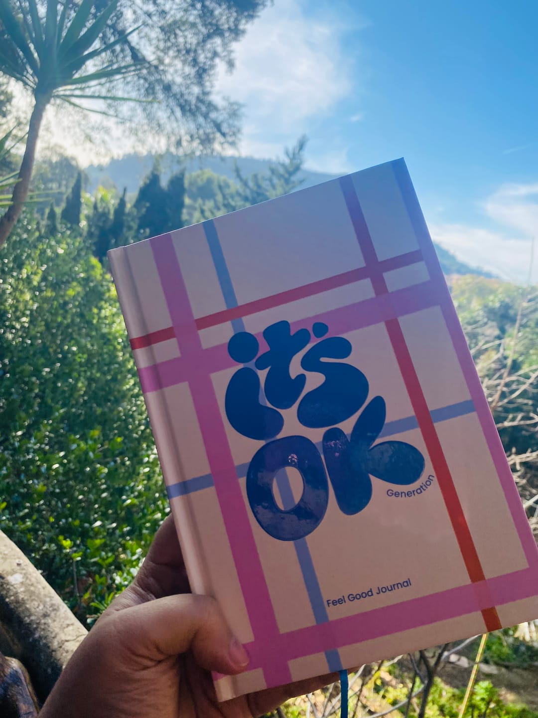 Customer photo review of Feel Good Journal | Portada Picnic