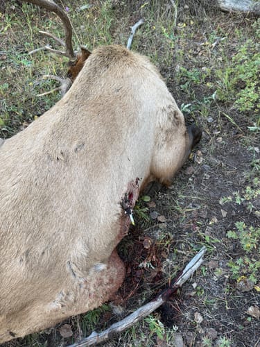 Customer photo review of OrderDefense