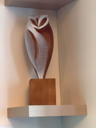Customer photo review of Owl Wood Sculpture #WA048