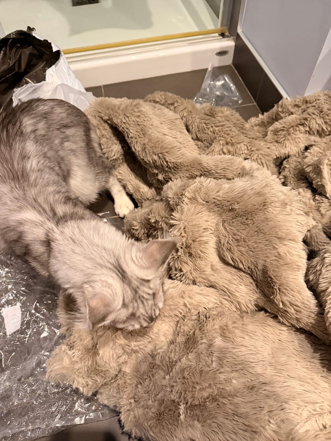 Customer photo review of Nordic Cozy Blanket