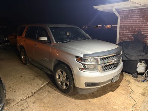 Customer photo review of Mail Order Tune