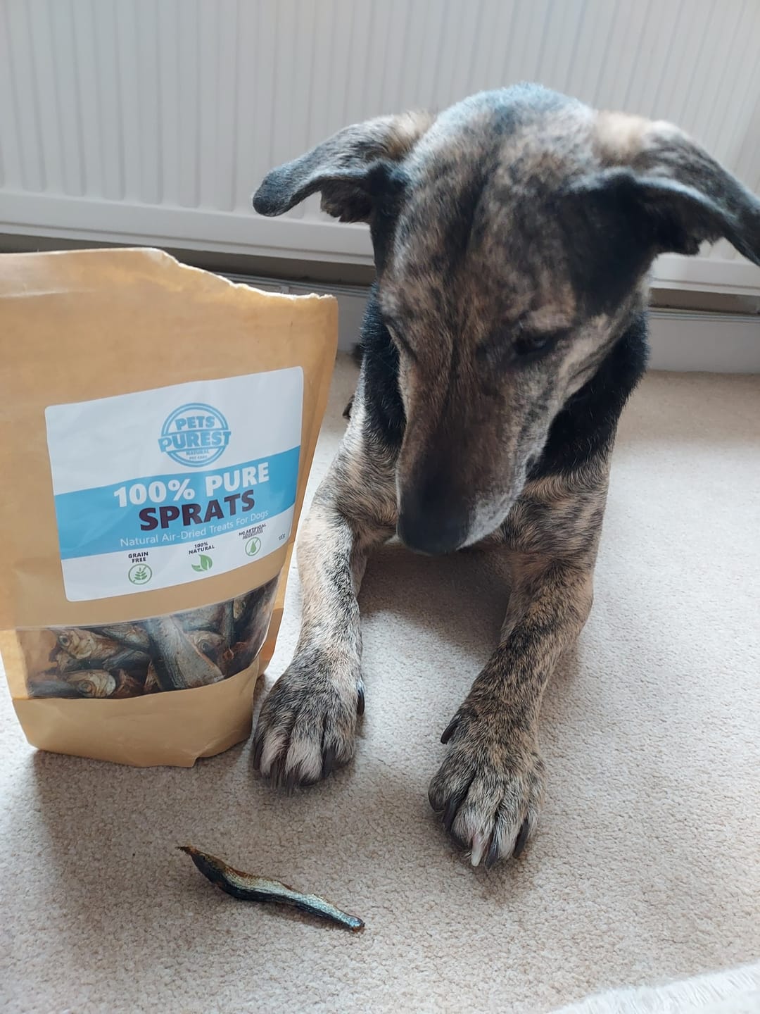 Customer photo review of 100% Natural Dried Sprats | 100g