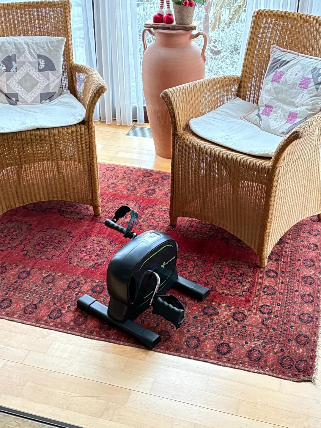 Customer photo review of Pedaltrainer BASIC Set